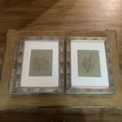 Mirror Framed Conch And Coral Art