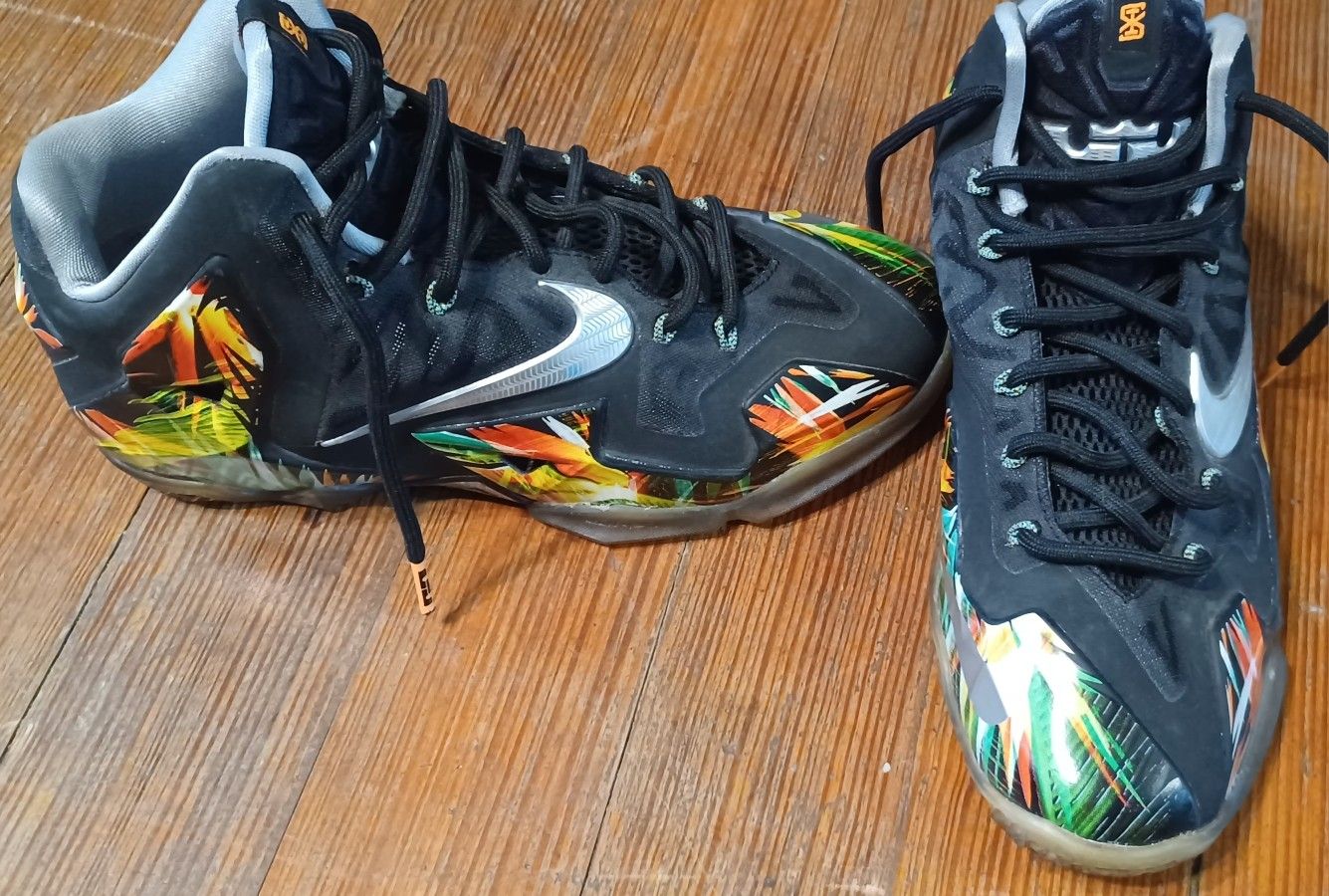 Nike Men's Size 8 Everglades LeBron James 11 Multicolor Basketball Shoe Sneaker