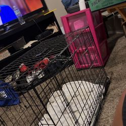 Kennel For Smaller Dogs 