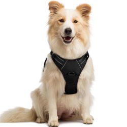 Rabbitgoo Dog Harness No Pull With 2 Leash Clips, Adjustable Soft Padded, Reflective Oxford No Choke