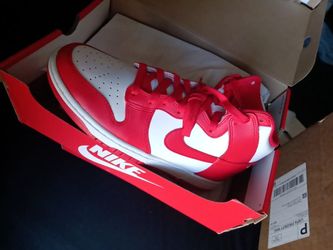 Nike Dunks Retro