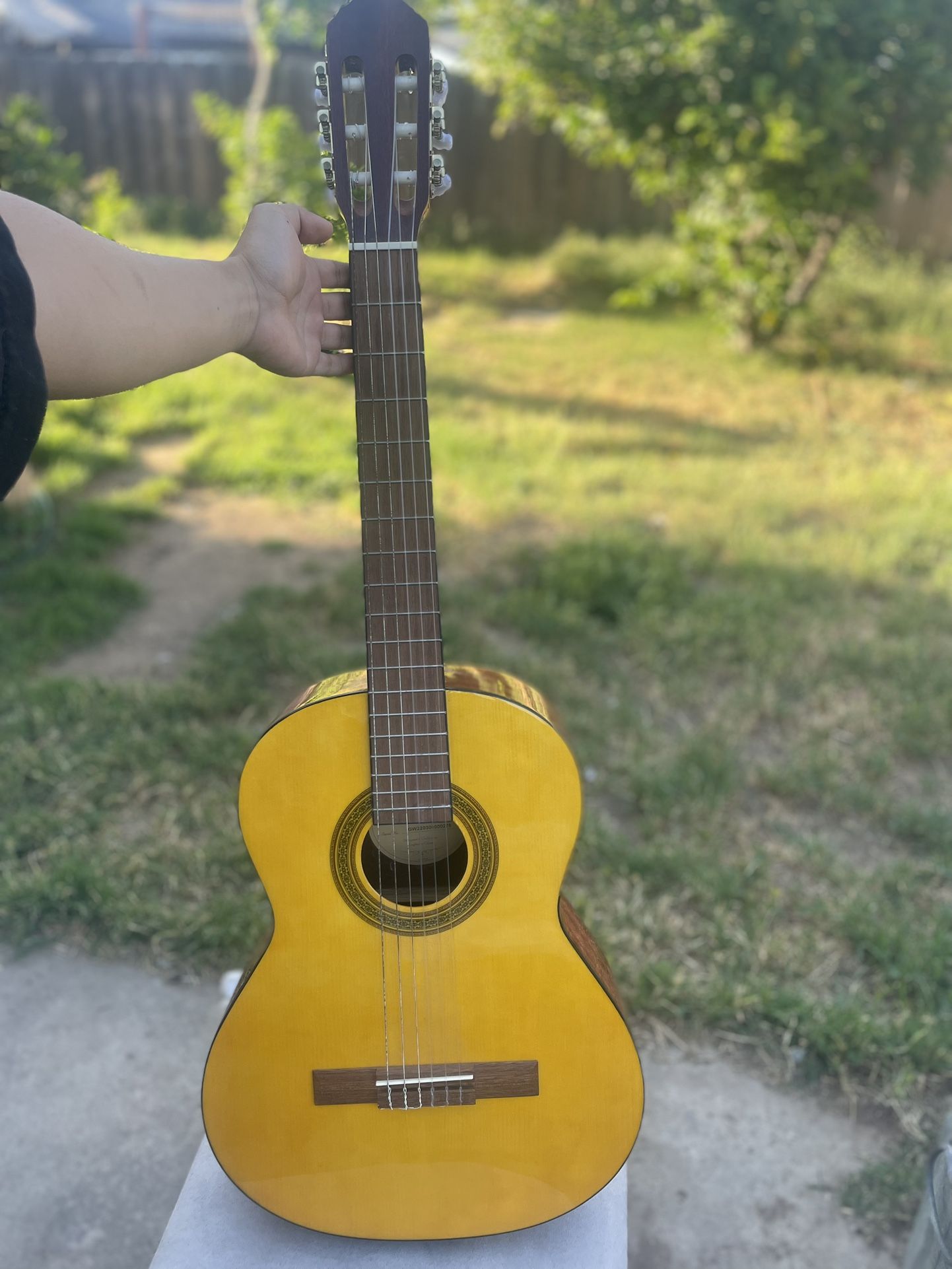 Lc 100 Guitar