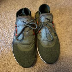 Olive Puma