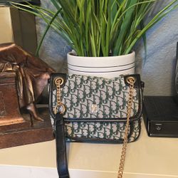Sexy Green Purse 