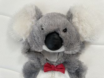 Koala Bear Kids Costume Size 24M 2 Years