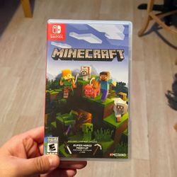 Minecraft Switch