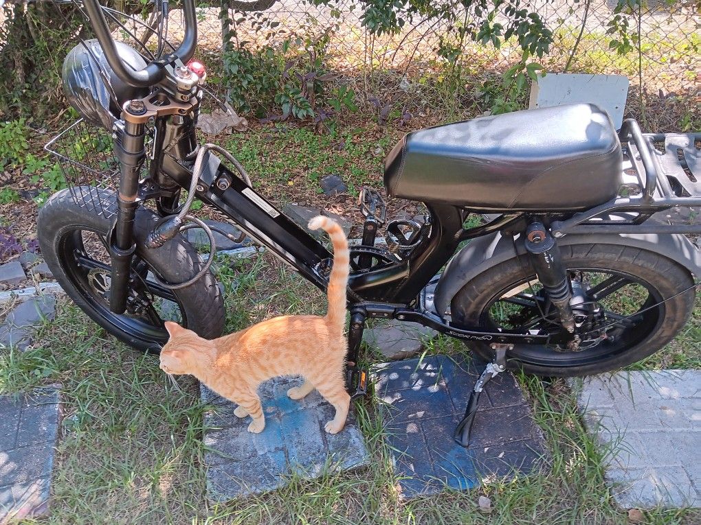 A Scorpion Juice E-bike