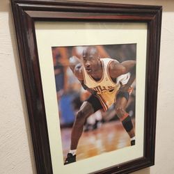 Michael Jordan Framed Picture 