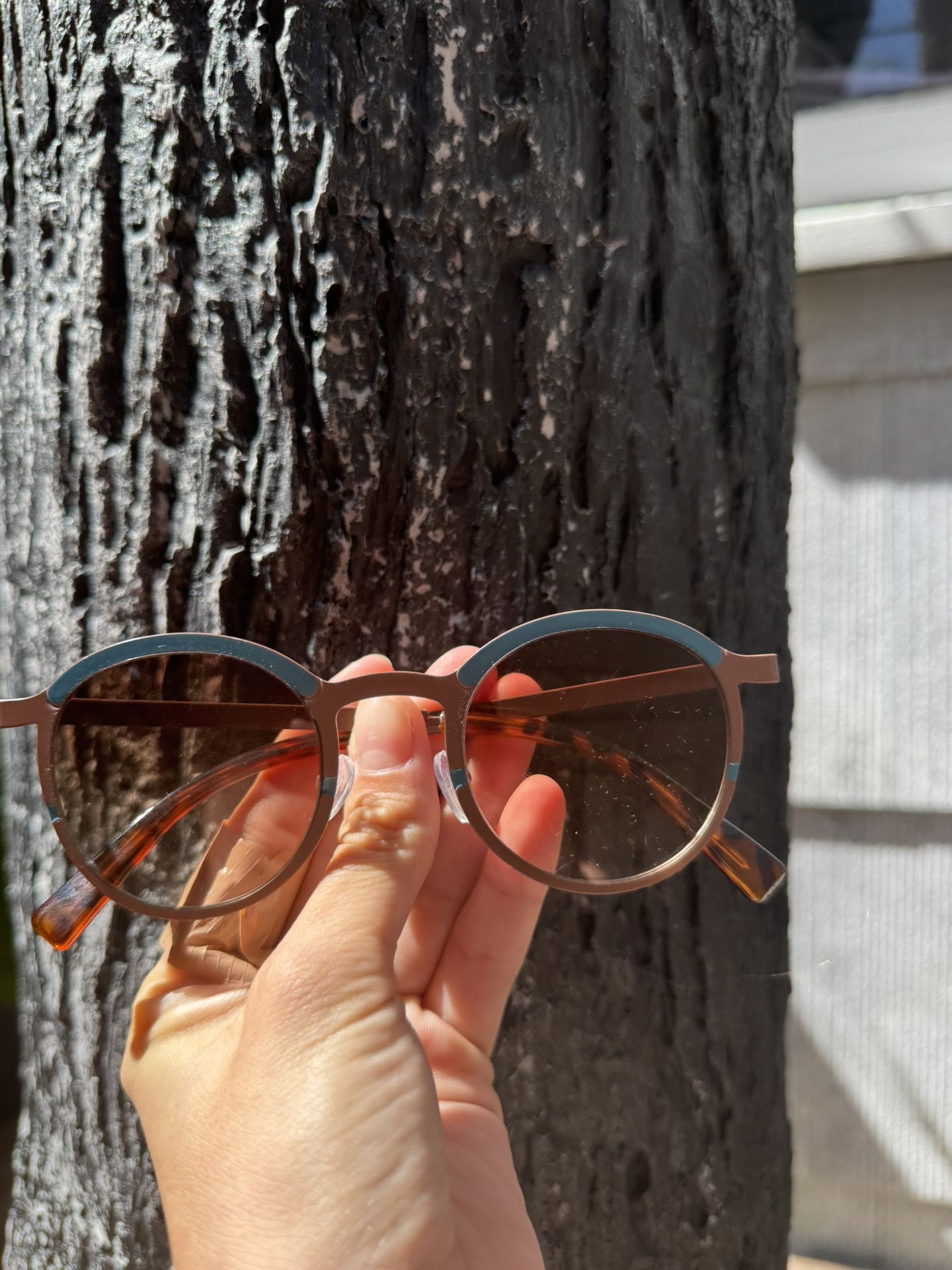 Brown and Blue Polarized Sunglasses