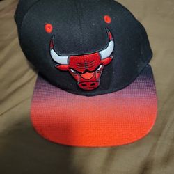 Chicago Bull Cap