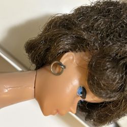 Early Brunette Bubble Cut Barbie With Amazing Clothes! See Pics!