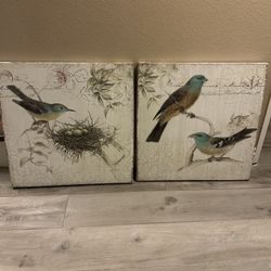 Birds Nest Canvas Wall Art