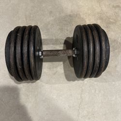 2 100lb Dumbbells