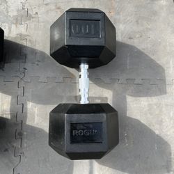 Rogue 100 Lb Dumbbells Only 300!  Retail Is $429 + Tax & Shipping
