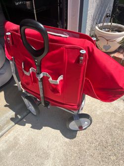Radio Flyer Folding Wagon – $40