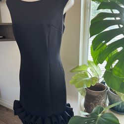 Donna Ricco women’s sz 10 ruffle hem sheath dress