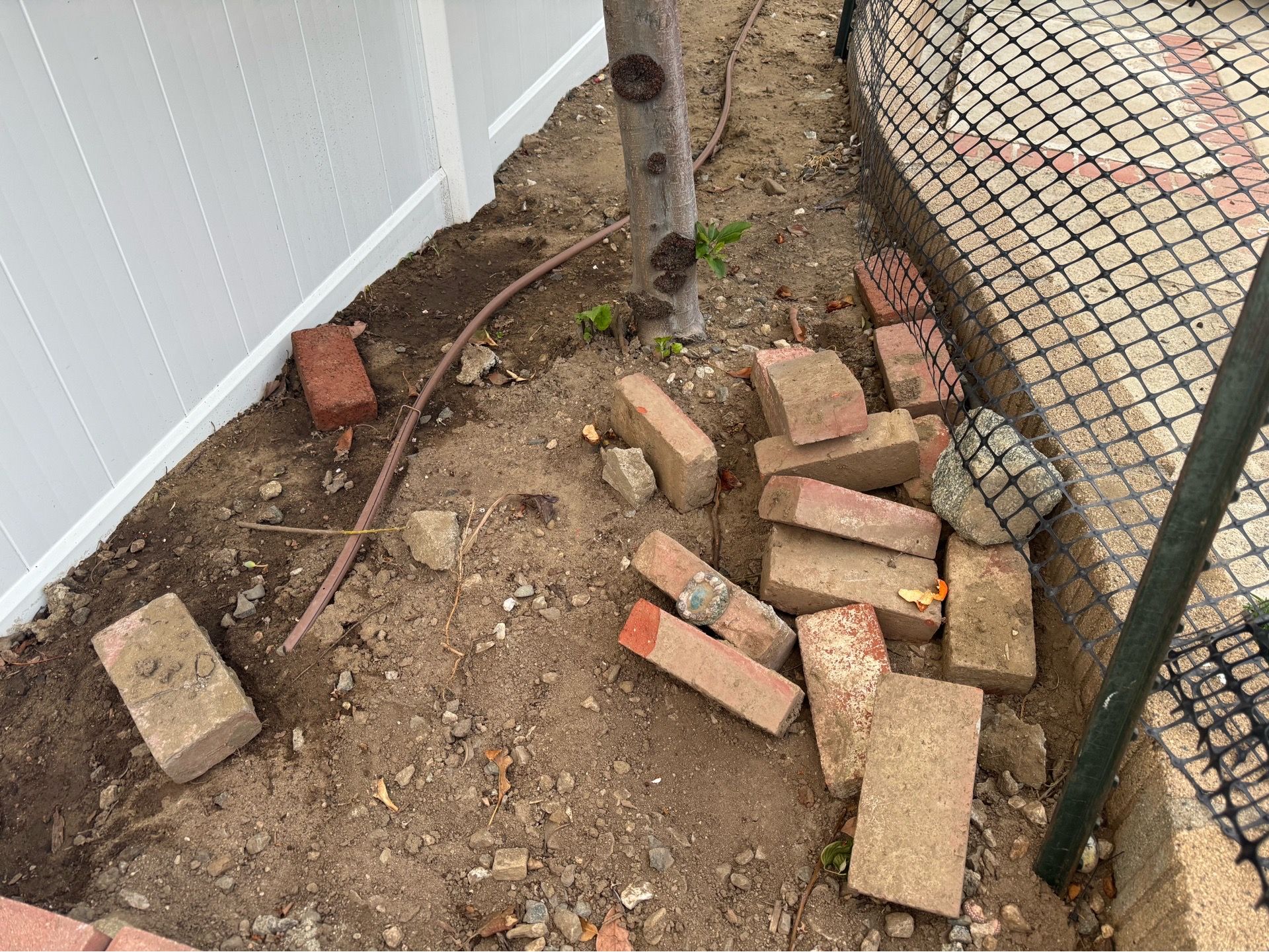 Free bricks
