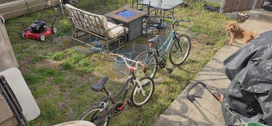 2 Bikes The Black One Just Needs Air The Green One Needs Rear Tire And Inner Tube Price For Both