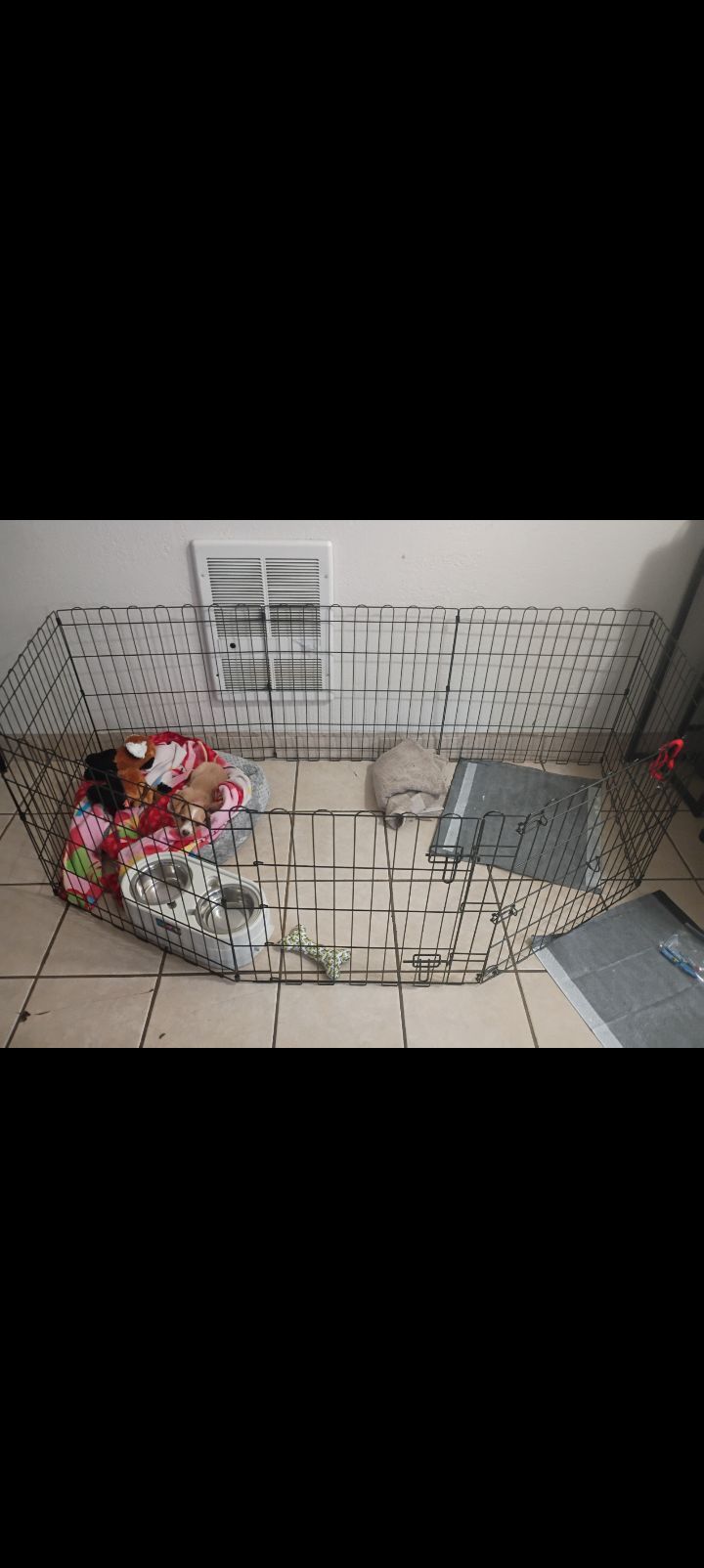 Doge cage play pen