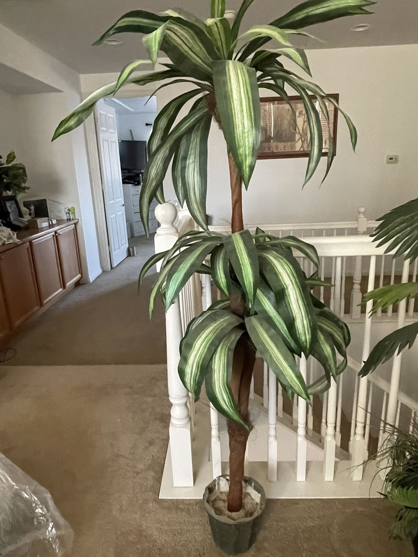 Palma Usada En Muy Buena Condision