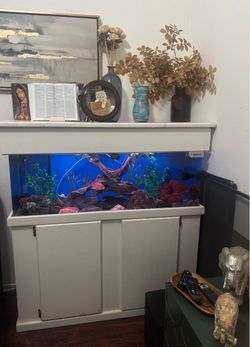 60gallon acrylic aquarium