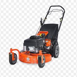 Ariens Classic LM21SW (21")