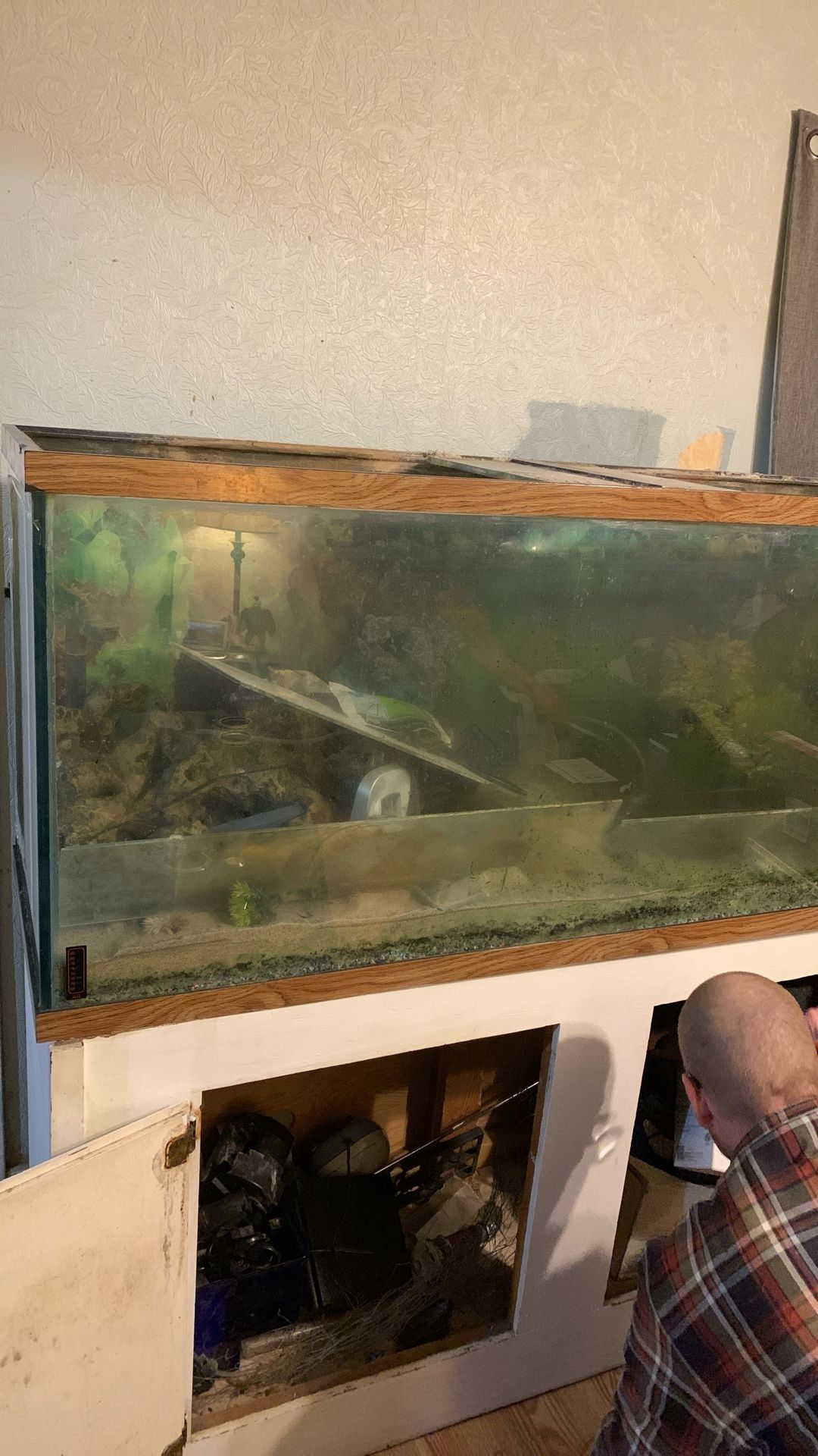 200 Gallon Fish Tank