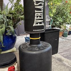Everlast  Punching Bag