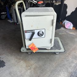 FREE Sentry Safe