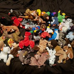 Beanie Babies!