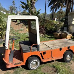 Taylor Dunn Electric Cart