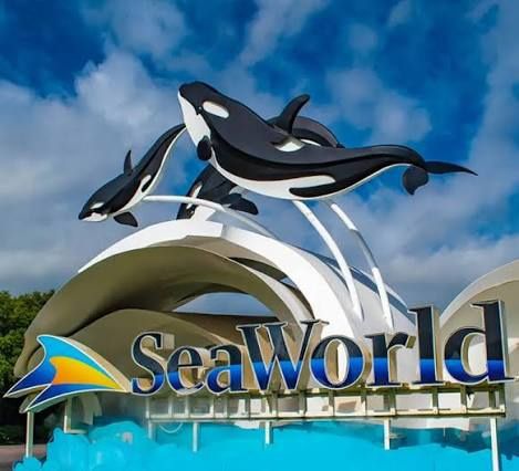 Sea World Tickets