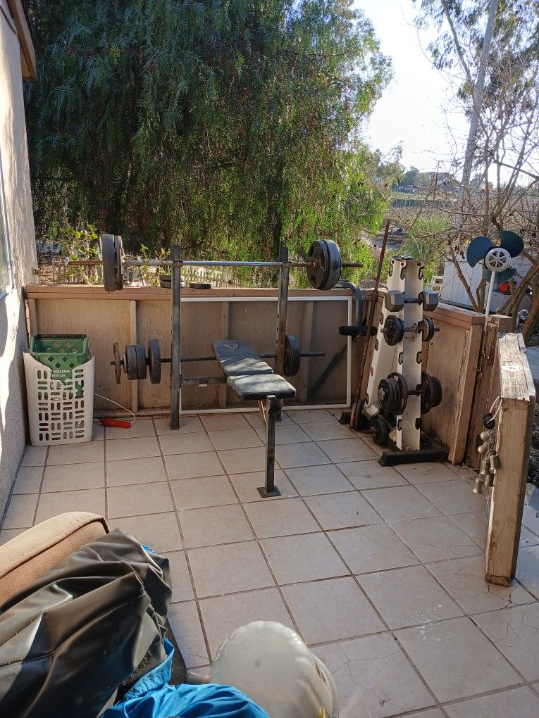 Weight Bench And Dumbells