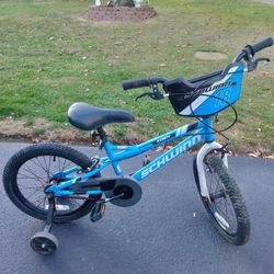 Koen 18 Schwinn Youth Bike $20