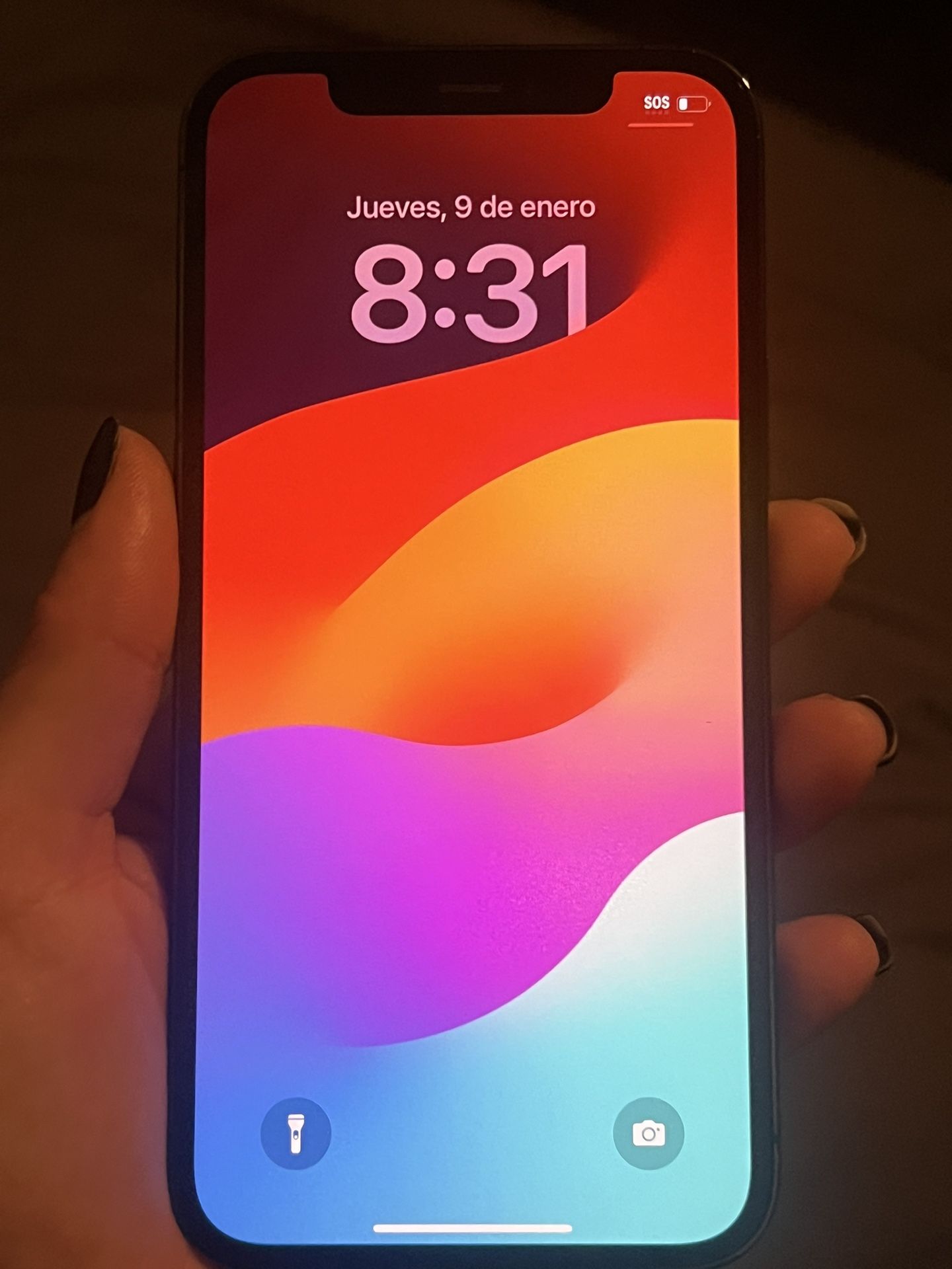 iPhone 12 Pro