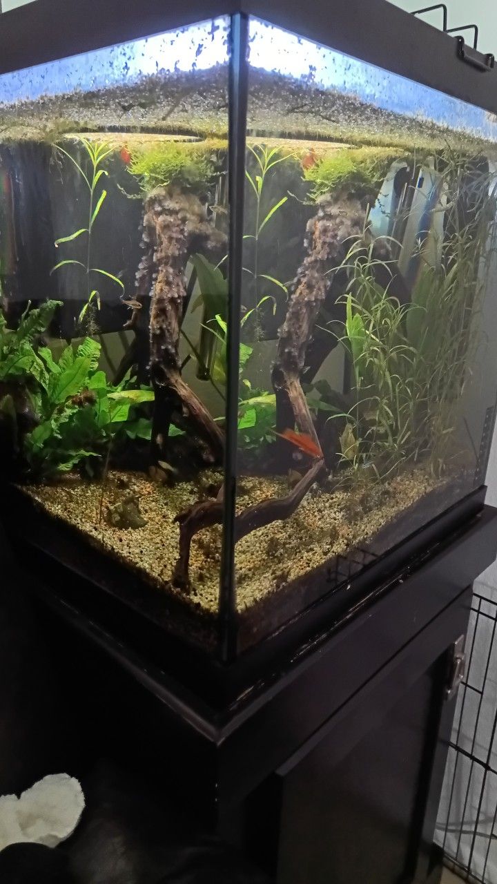 30 Gallons Aquarium Tank