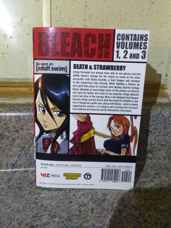 Bleach Manga