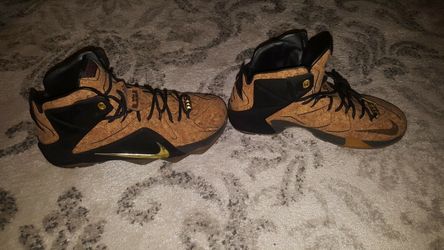 Lebron cork EXT 12 Kings Nike shoes size 10