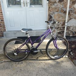 Trek Women's Bike