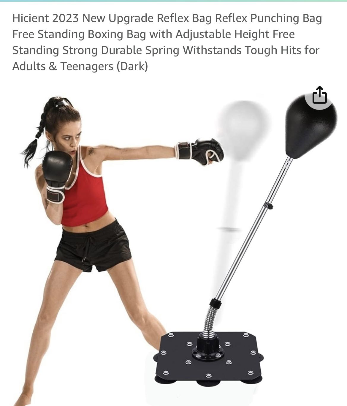 Punching Bag (floor Suction)