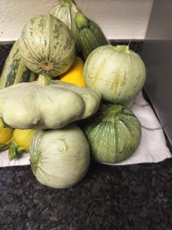 Squash (Organic)