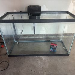 29 Gallon Fish Tank