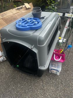Dog Kennel and toys