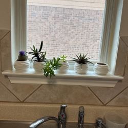 Five Small Flower Pots 