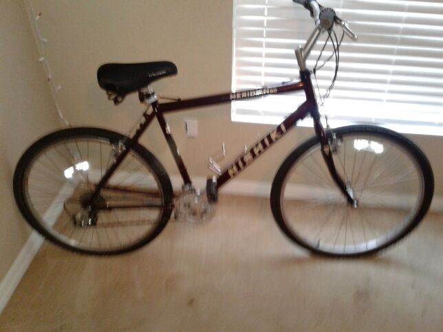 Nishiki meridian bike new arrivals