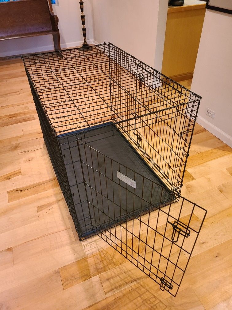 Dog Kennel