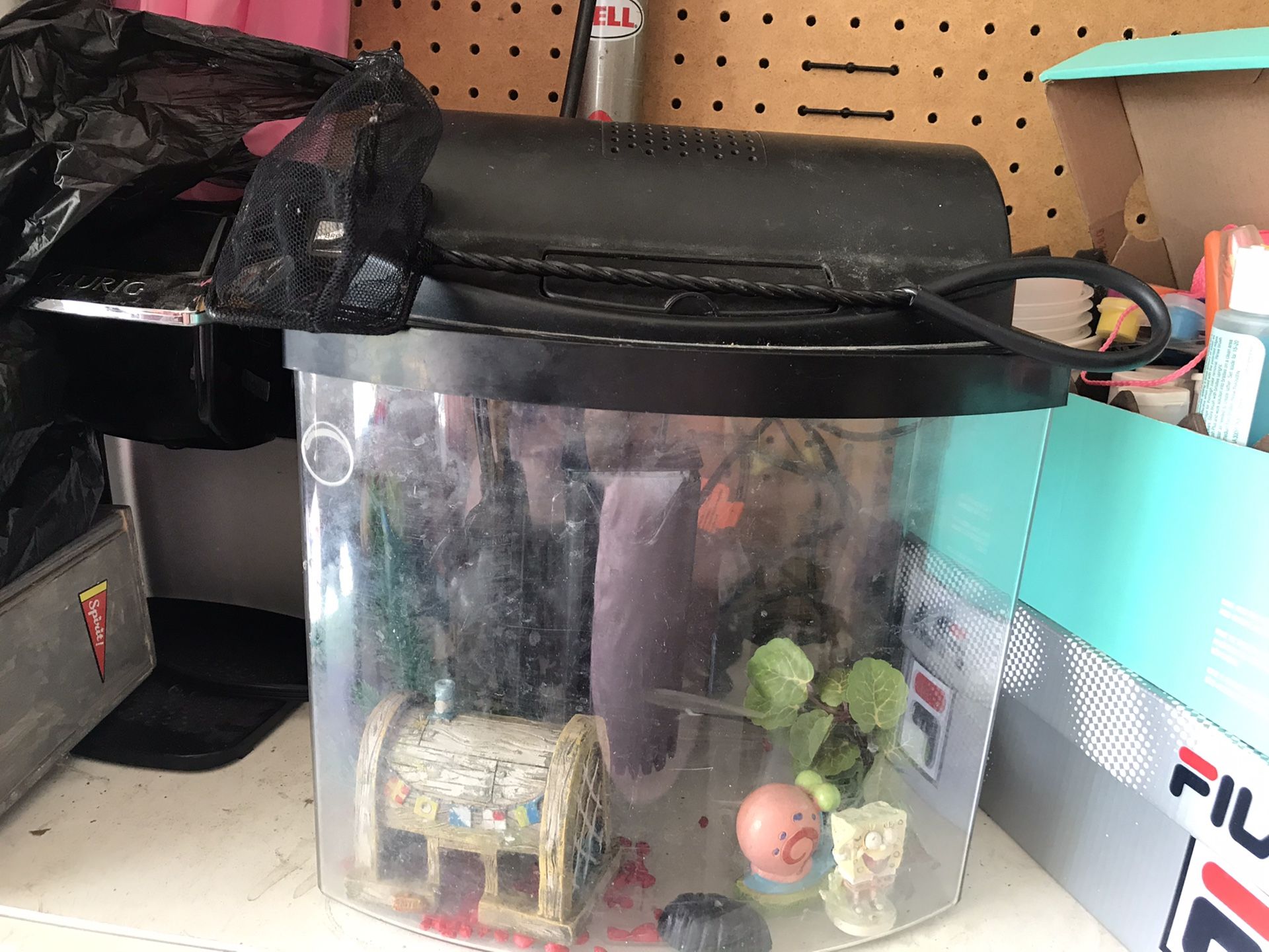 Aquarium -2.5 mini bow desktop