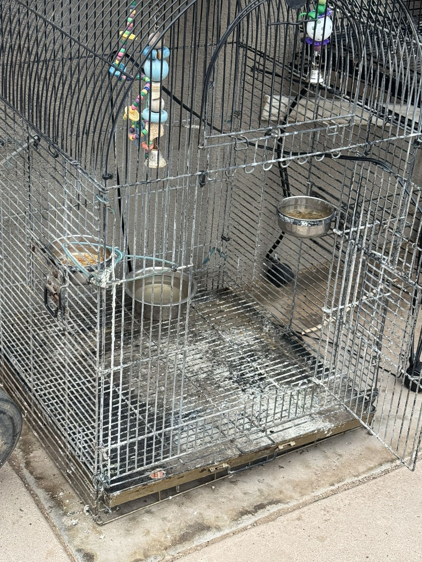 Bird Cage