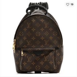 Louis Vuitton Palm Springs PM backpack