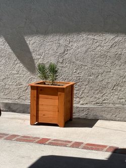 Cedar planter